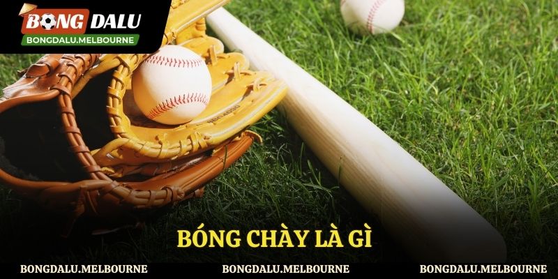 Giới thiệu về bóng chày