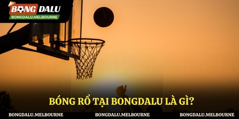 Hiểu rõ hơn về bóng rổ tại Bongdalu