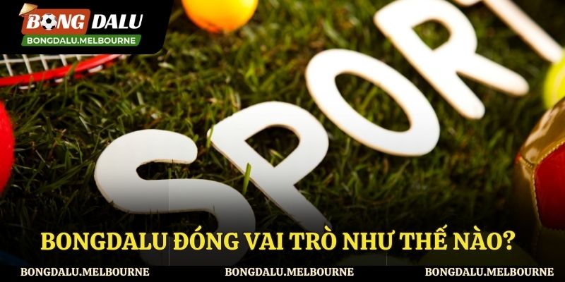 Vai trò của Bongdalu