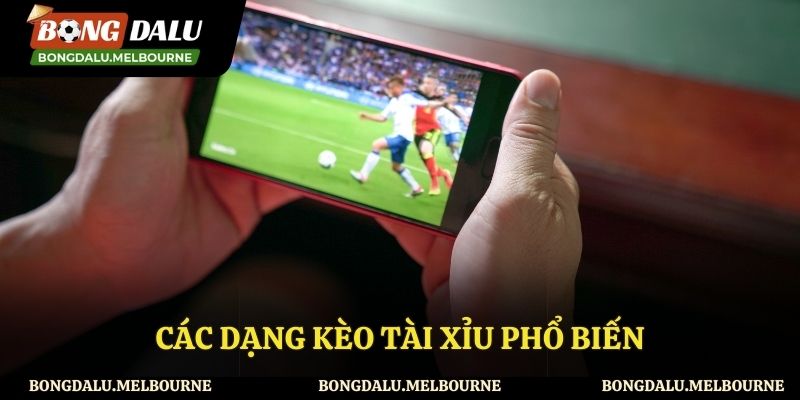Các kèo tài xỉu phổ biến