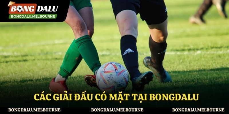 Những giải bóng được yêu thích tại Bongdalu