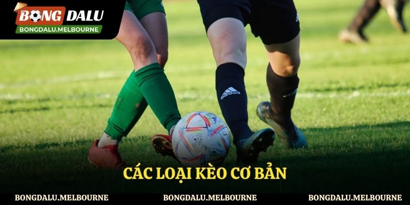 Những loại kèo bóng đá thường gặp