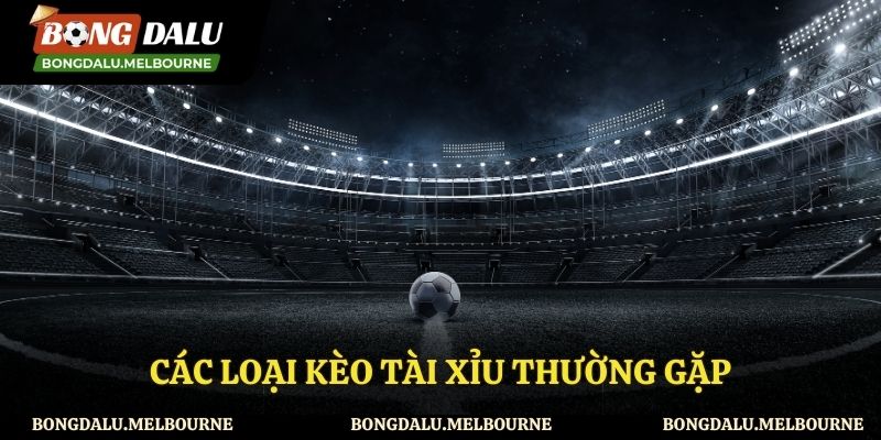Những loại kèo tài xỉu phổ biến