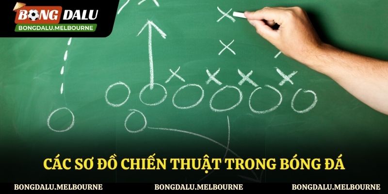 Các Sơ Đồ Chiến Thuật Trong Bóng Đá Có Thể Bạn Chưa Biết