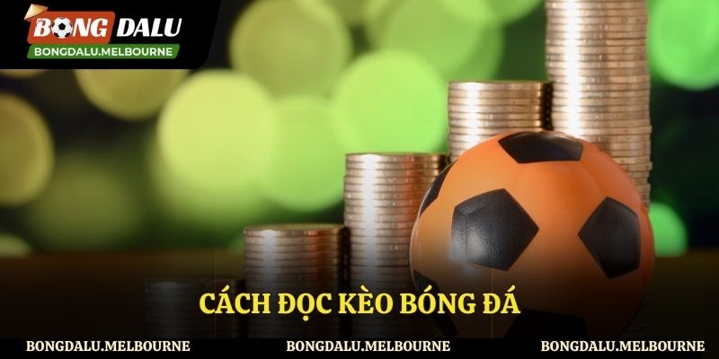 Cách Đọc Kèo Bóng Đá - Hướng Dẫn Mới Nhất Dành Cho Cược Thủ