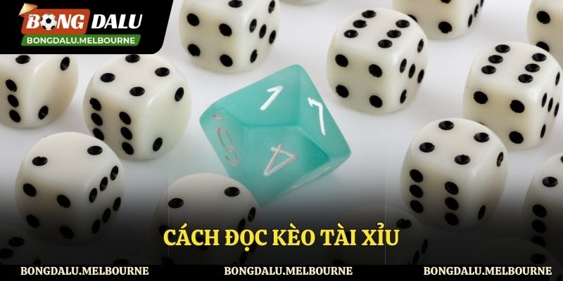 Cách Đọc Kèo Tài Xỉu - Chia Sẻ Thủ Thuật Cá Cược Bóng Đá