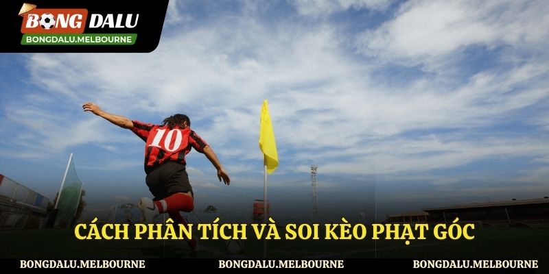 Cách soi kèo phạt góc hay