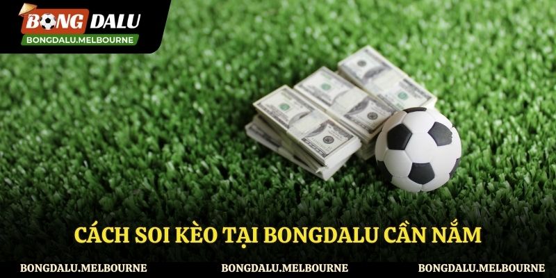 Chia sẻ cách soi kèo chuẩn tại Bongdalu