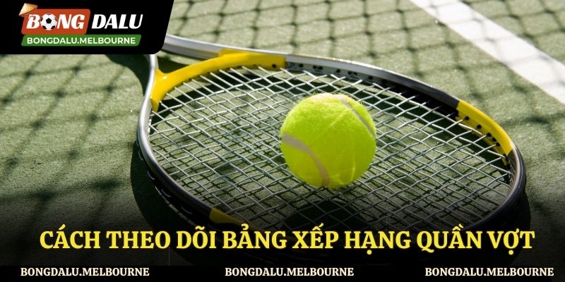Cách theo dõi BXH quần vợt