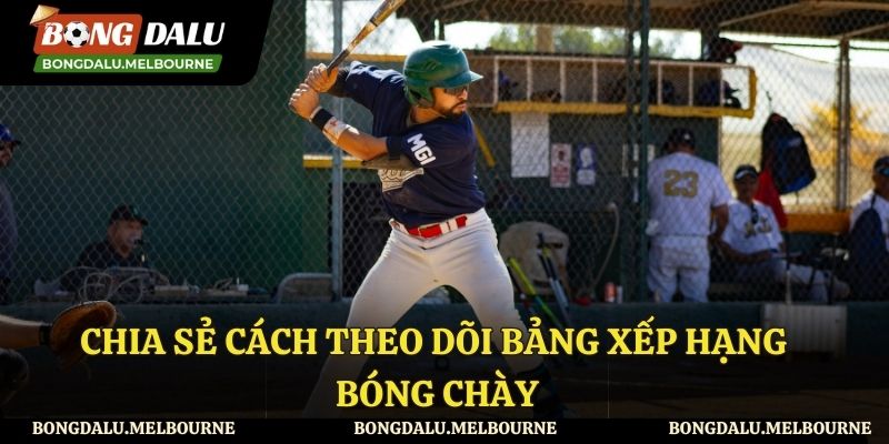 Chia sẻ cách theo dõi bảng xếp hạng mới nhất