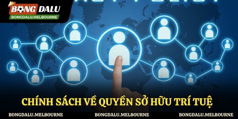 Chính sách website về quyền sở hữu trí tuệ