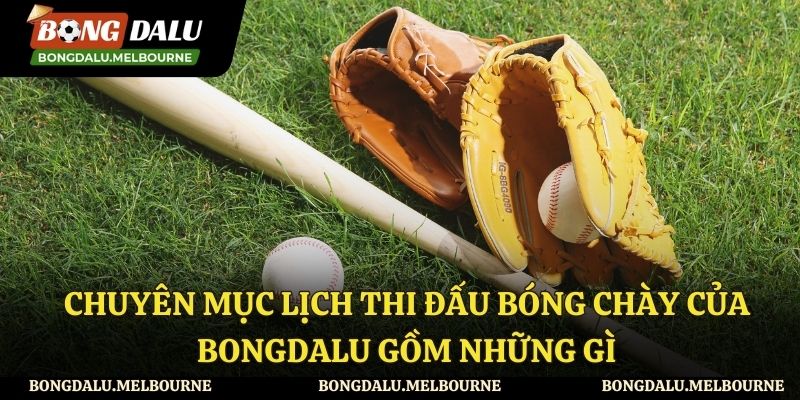 Những nội dung trong lịch thi đấu bóng chày