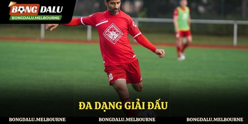 Đa dạng các giải đấu được Bongdalu cung cấp đến người xem