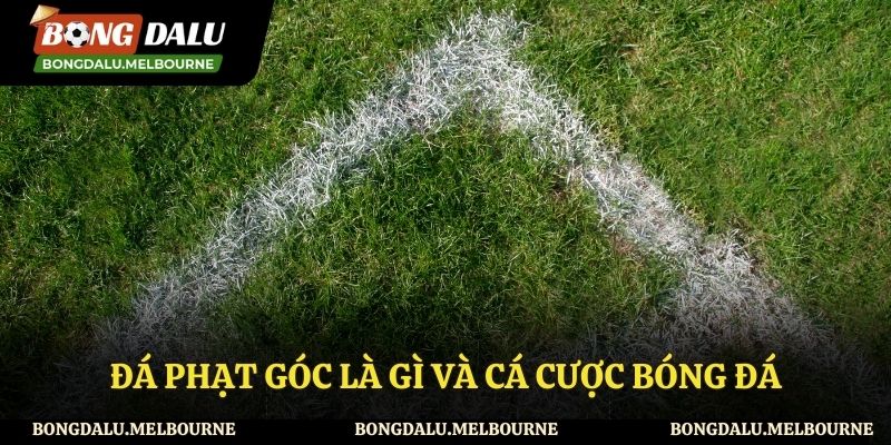 Đá phạt góc là gì và cá cược trong bóng đá
