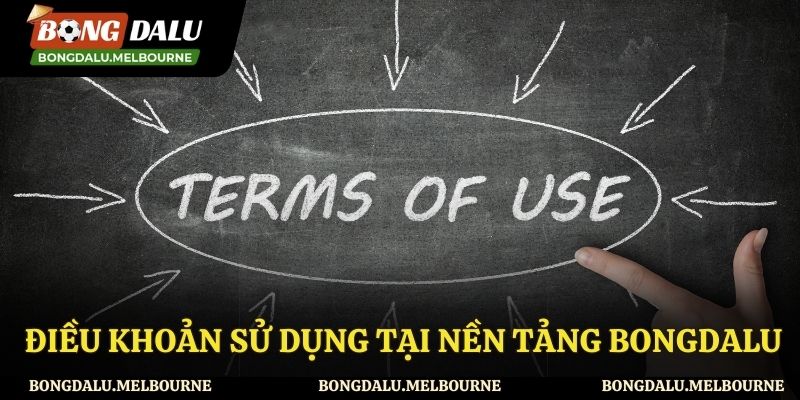 Tìm hiểu về điều khoản sử dụng là gì?