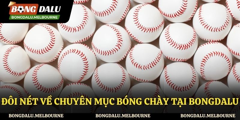 Chuyên mục bóng chày tại Bongdalu là gì?