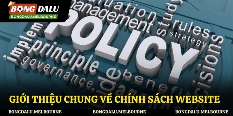 Tổng quan về chính sách trang web Bong da lu