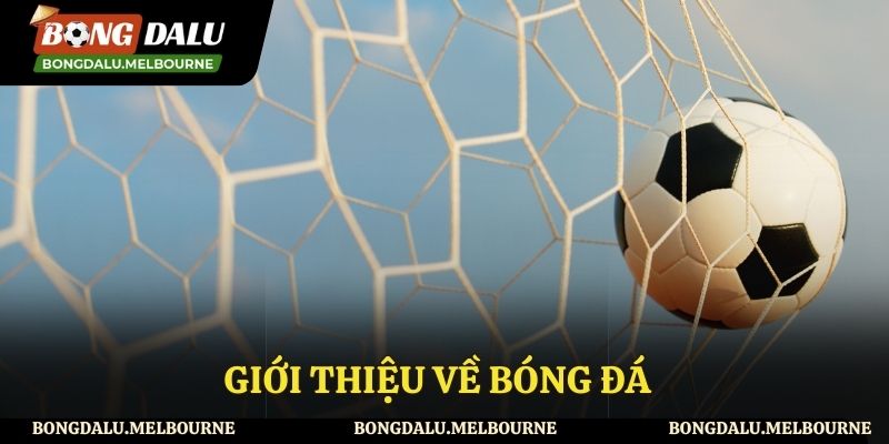 Giới thiệu sơ lược về bóng đá