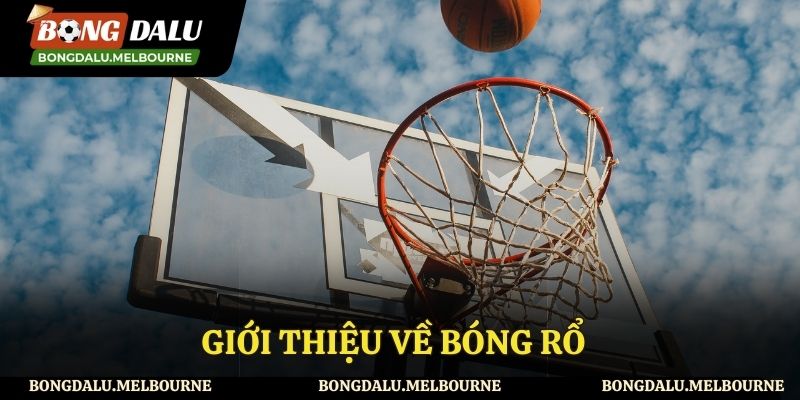 Hiểu rõ hơn về bộ môn thể thao nổi tiếng