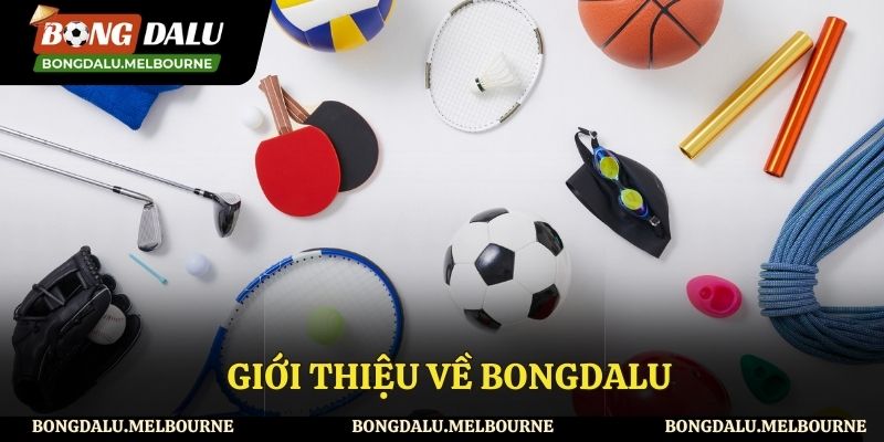 Sơ lược về Bongdalu