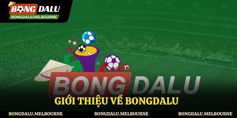 Một số thông tin tổng quan về Bong da lu
