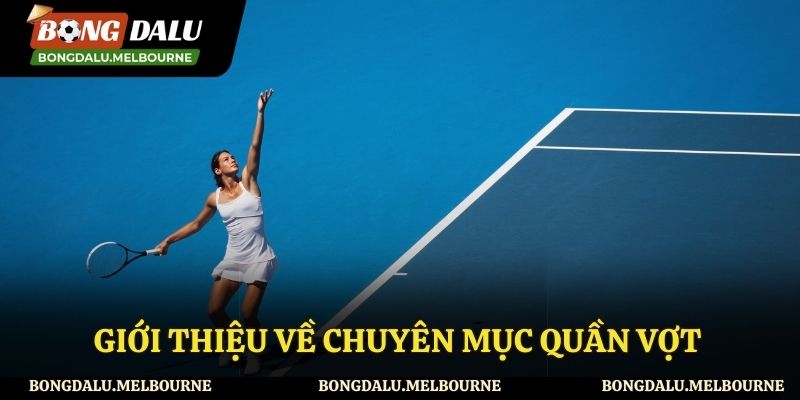 Chuyên mục quần vợt tại Bongdalu có gì?