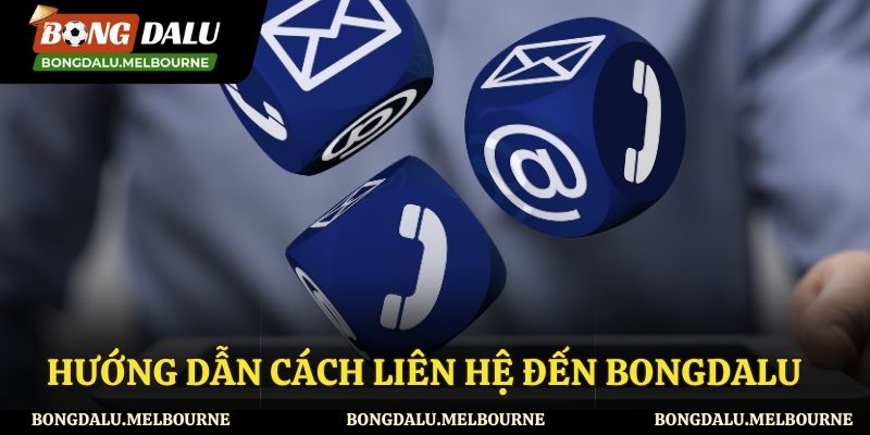 Những phương thức liên hệ được Bongdalu hỗ trợ