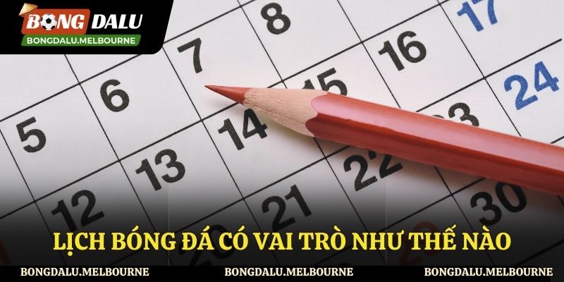 Những vai trò quan trọng đối với lịch thi đấu bóng đá