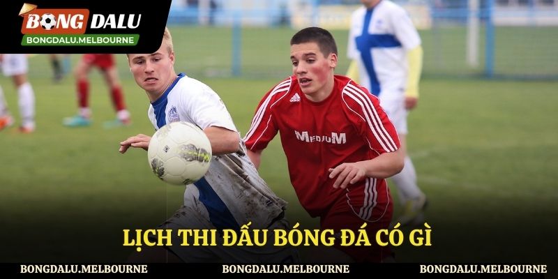 Những nội dung có trong lịch thi đấu của Bongdalu