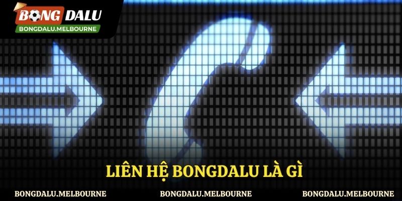 Tìm hiểu về liên hệ Bongdalu