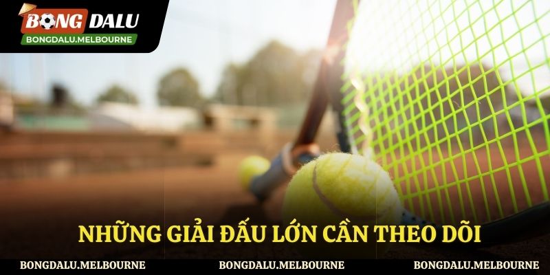 Những giải đấu lớn bạn nên theo dõi lịch thi đấu