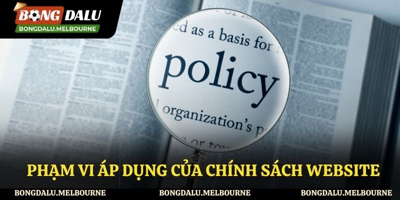 Phạm vi áp dụng của chính sách
