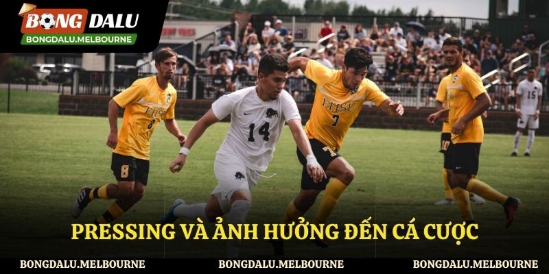 Pressing ảnh hưởng đến cá cược như thế nào