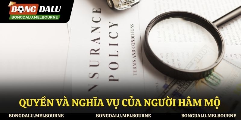 Quyền và nghĩa vụ của người sử dụng Bongdalu