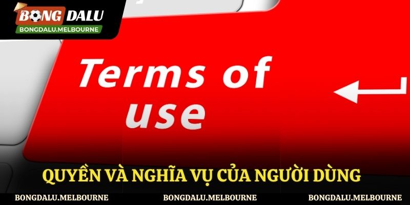 Quy định về quyền và nghĩa vụ của người dùng
