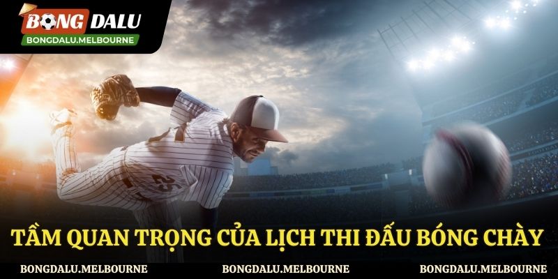 Lịch thi đấu bóng chày có vai trò như thế nào