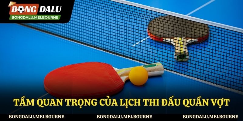 Vai trò của lịch thi đấu