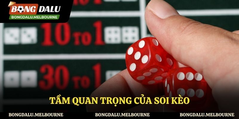 Soi kèo đóng vai trò như thế nào?