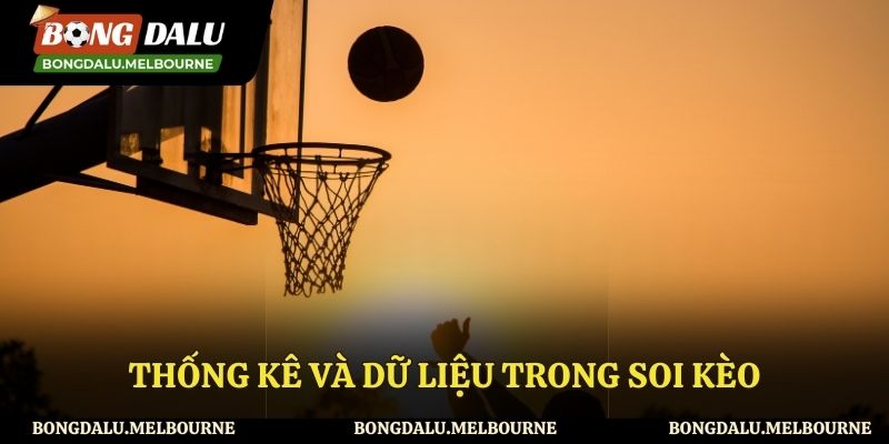 Những dữ liệu quan trọng trong soi kèo