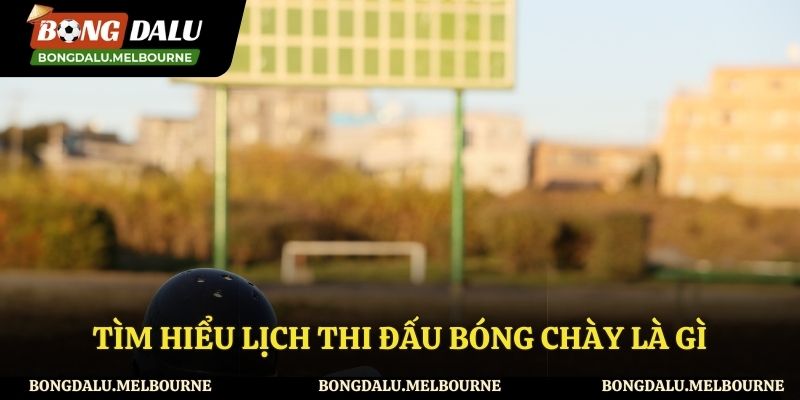 Đôi nét về lịch thi đấu bóng chày