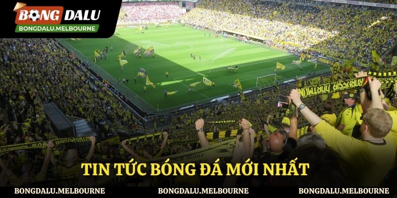 Tin tức bóng đá luôn được cập nhật liên tục
