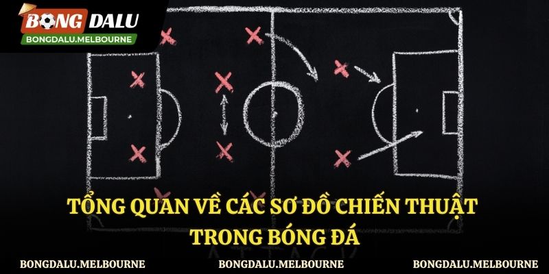 Giới thiệu về sơ đồ chiến thuật