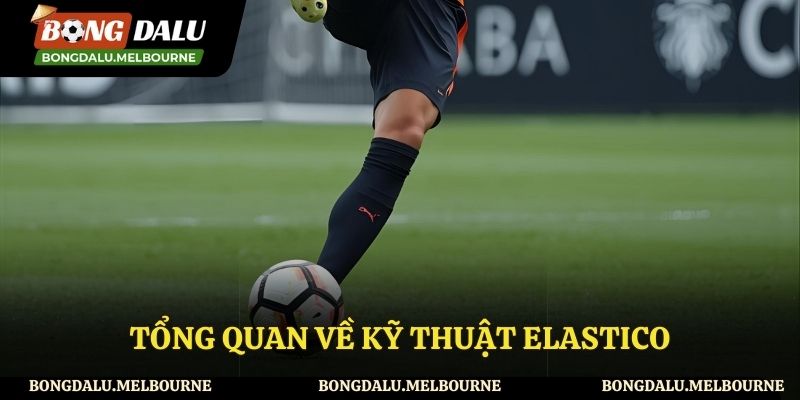 Giới thiệu về động tác elastico