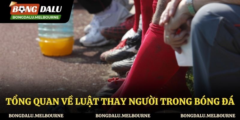 Giới thiệu về luật thay người