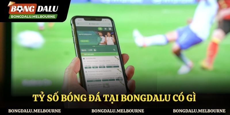 Bongdalu xây dựng tỷ số bóng đá gồm những gì?