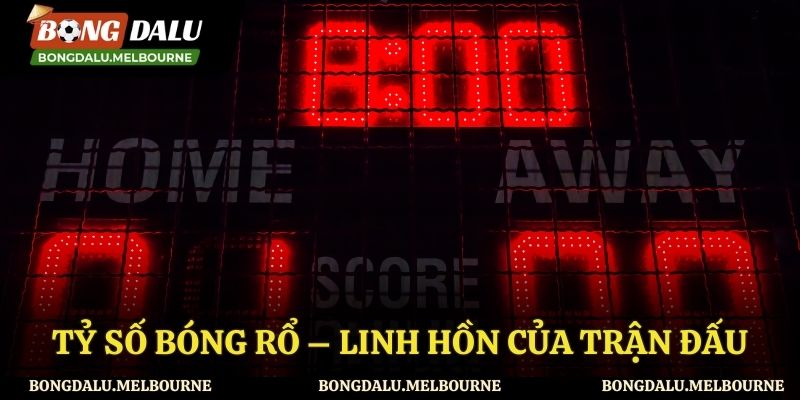 Giới thiệu về tỷ số