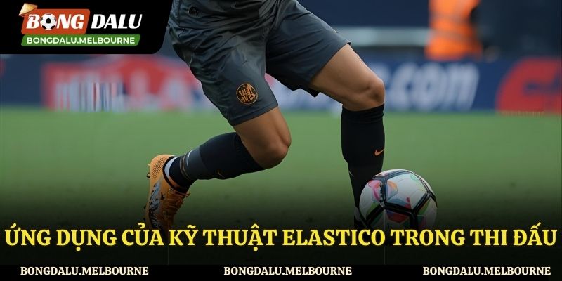 Những ứng dụng của kỹ thuật elastico