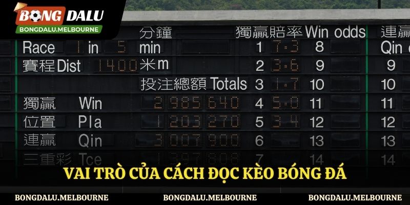 Vai trò trong việc đọc kèo bóng đá