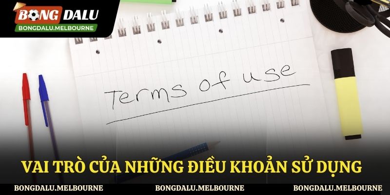 Những vai trò của điều khoản sử dụng tại Bong da lu