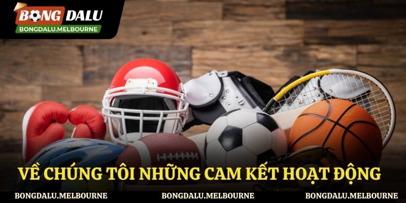 Về chúng tôi - Những cam kết hoạt động